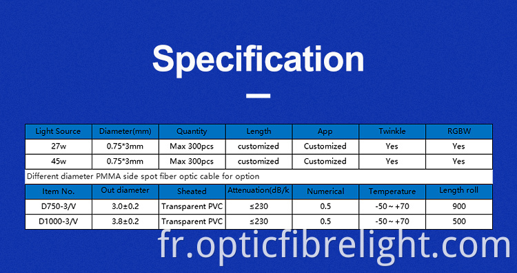 Fibre Optic Light